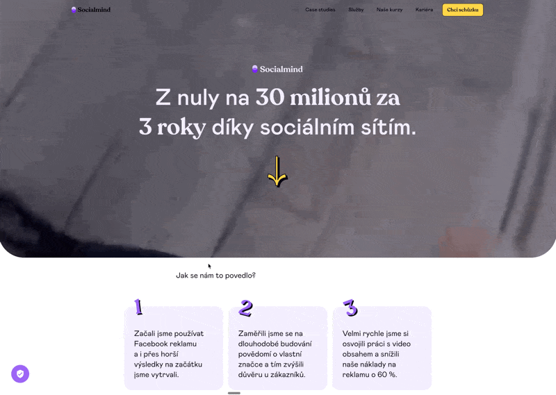 Ukázka případové studie Socialmind Framework